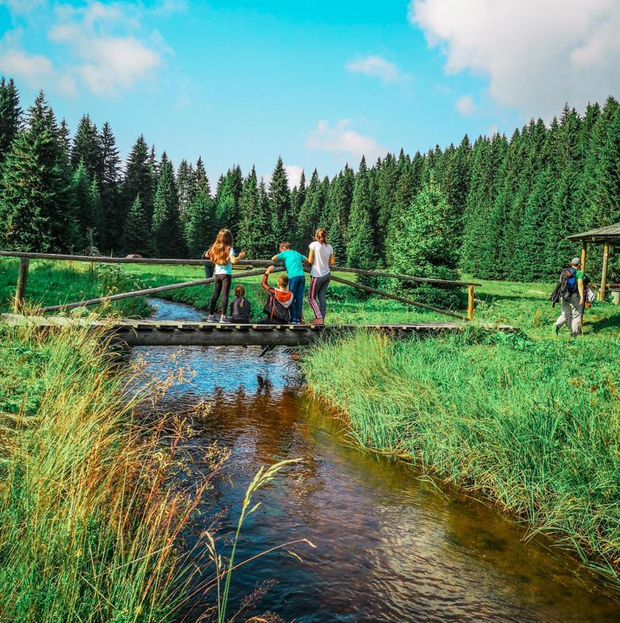 Apt In The Sky - Kopaonik Kraljevi Cardaci Exterior photo